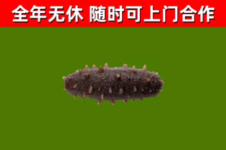 阿鲁科尔沁旗烟酒回收干海参.jpg